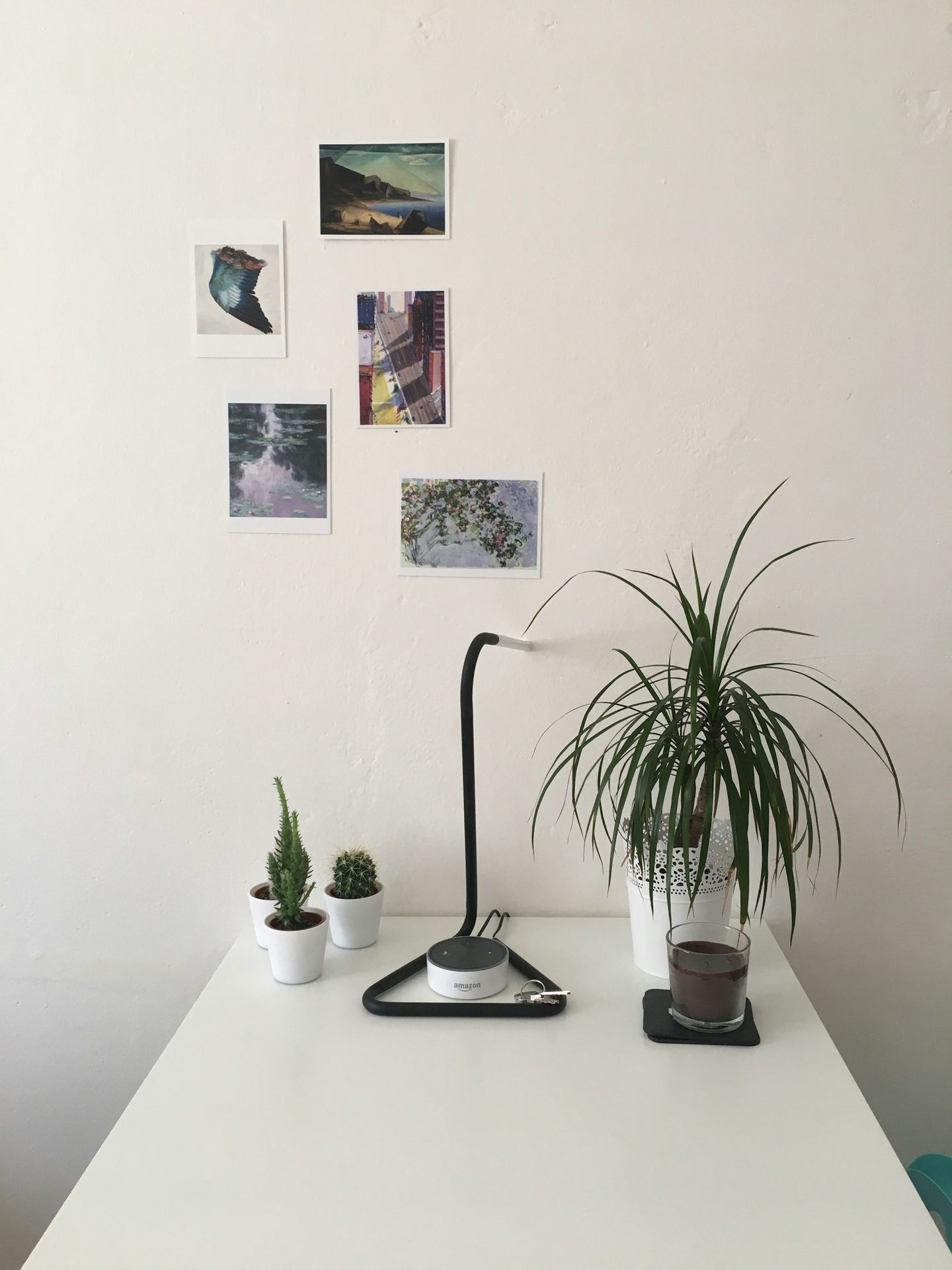 green leaf plant near wall